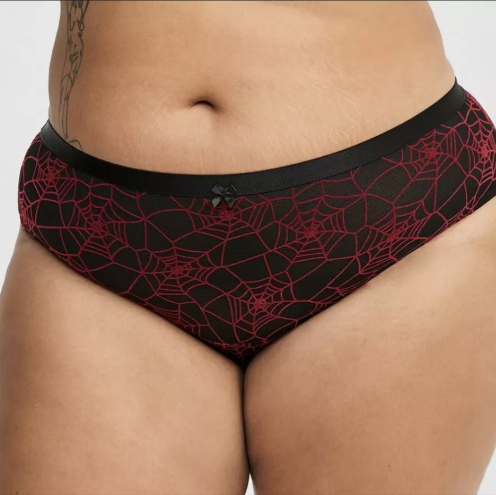 🆕Torrid hipster spider web panties size 5